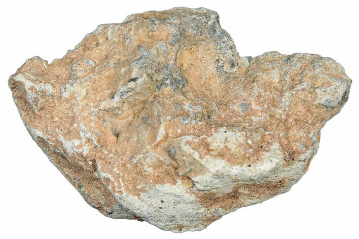 Lunar Meteorite Fragment ( g) - NWA #304068